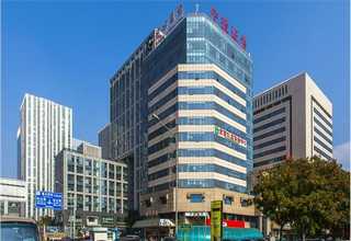 丰泽金钱树出租