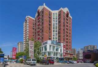 云南二代魔芋种子价格是多少