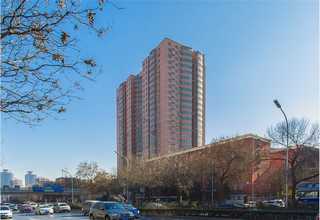 陕西体外震波碎石机多少钱一台